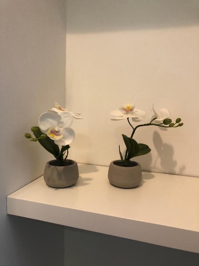 Vesucharme Suite Luxury Room Napoli Eksteriør bilde